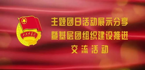 主题团日活动风采与基层团组织建设推进交流展示